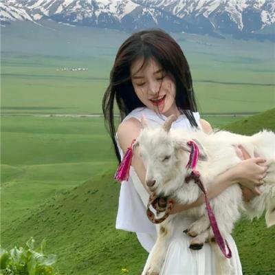 灵犬莱西